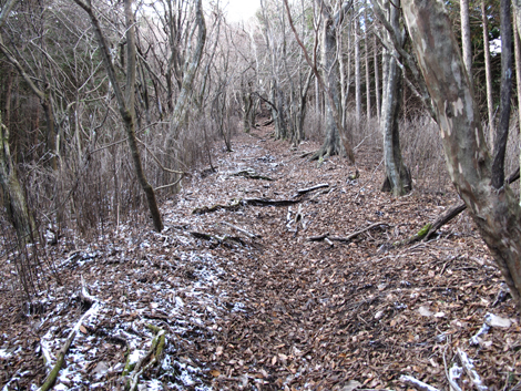 20161216hike (169)